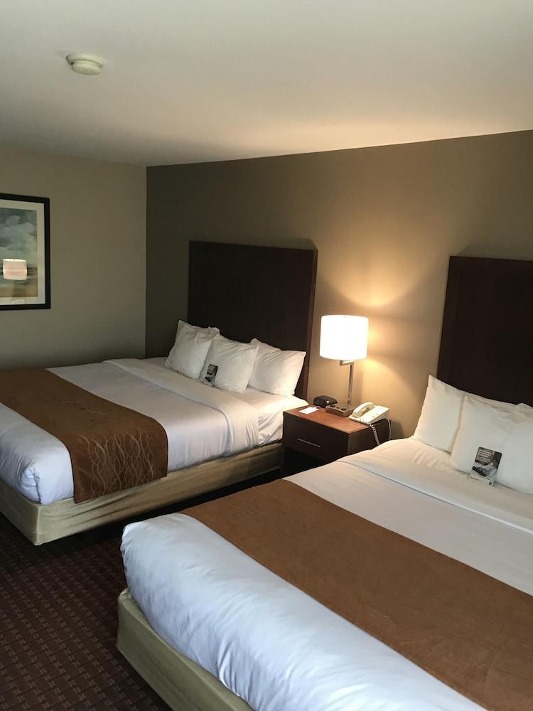 Comfort Inn Silicon Valley East Fremont Zewnętrze zdjęcie