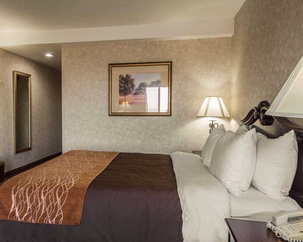 Comfort Inn Silicon Valley East Fremont Pokój zdjęcie